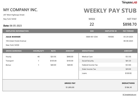 1099 Pay Stub Template