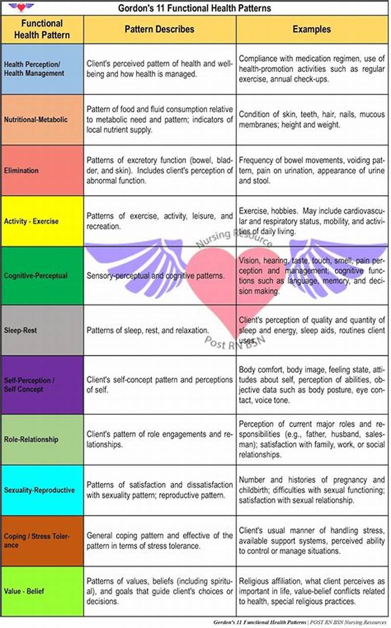 11 Gordon's Functional Health Pattern Example