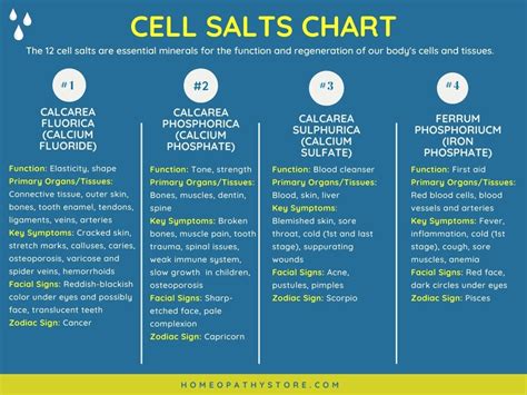 12 Cell Salts Chart