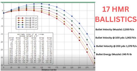 17 Hmr Drop Chart