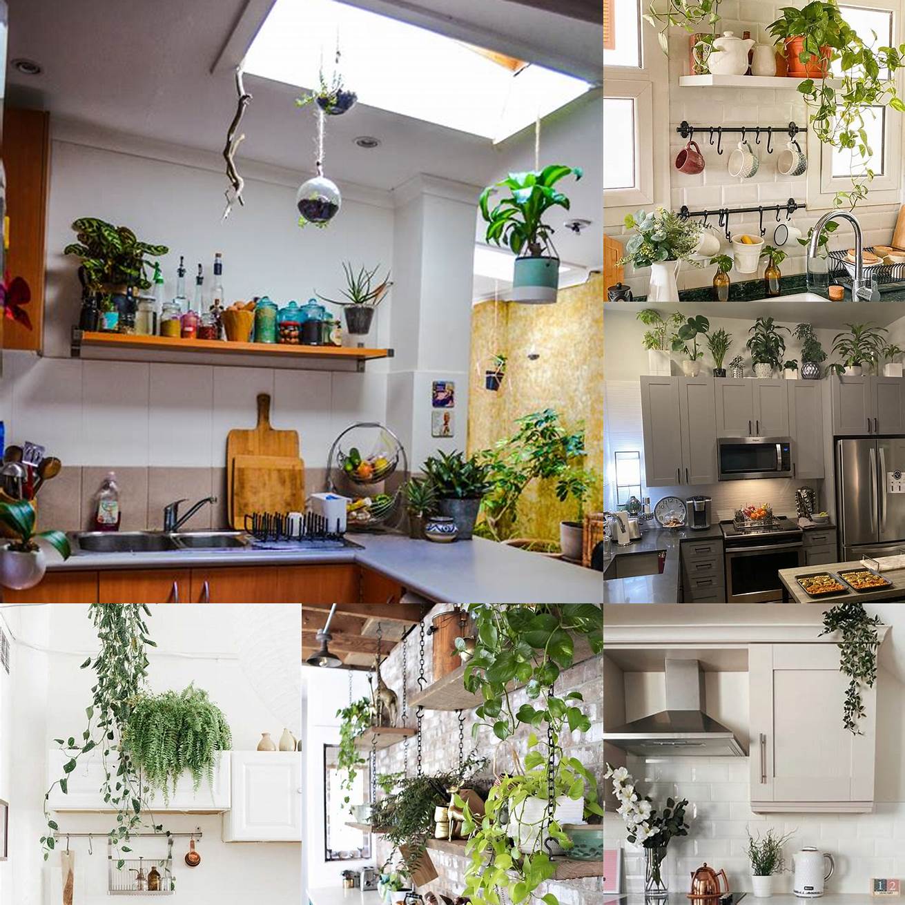 2 Add some greenery to your kitchen by placing plants on top of your cabinets