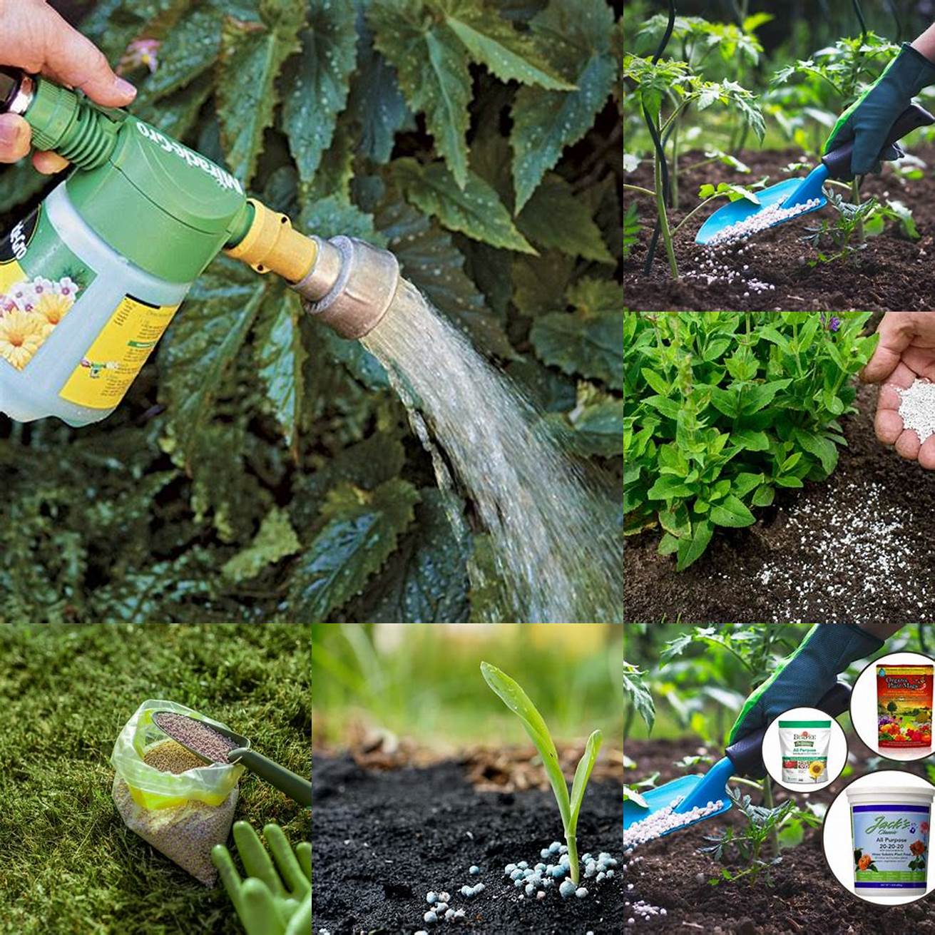 2 Fertilizing Use a fertilizer to help your plants grow strong and healthy