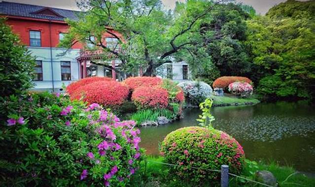 2 University of Tokyo Botanical Garden