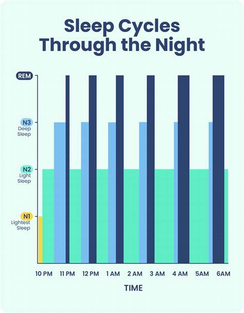 2 Phase Sleep Pattern