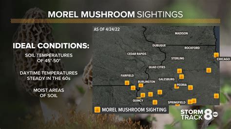 2022 morel map
