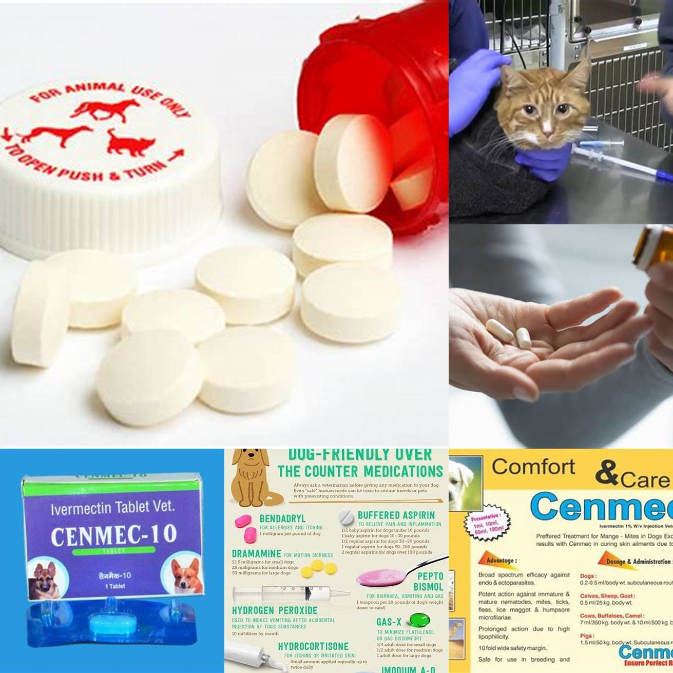 3 Administering any prescribed medications or treatments as directed by your vet