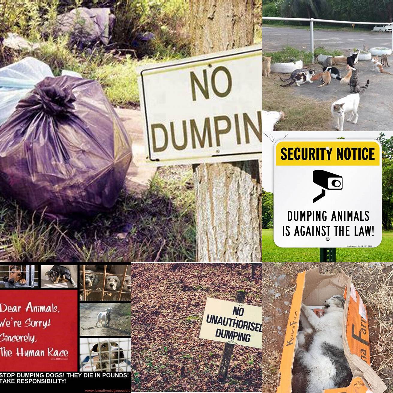 3 Avoid dumping the animal in a public area