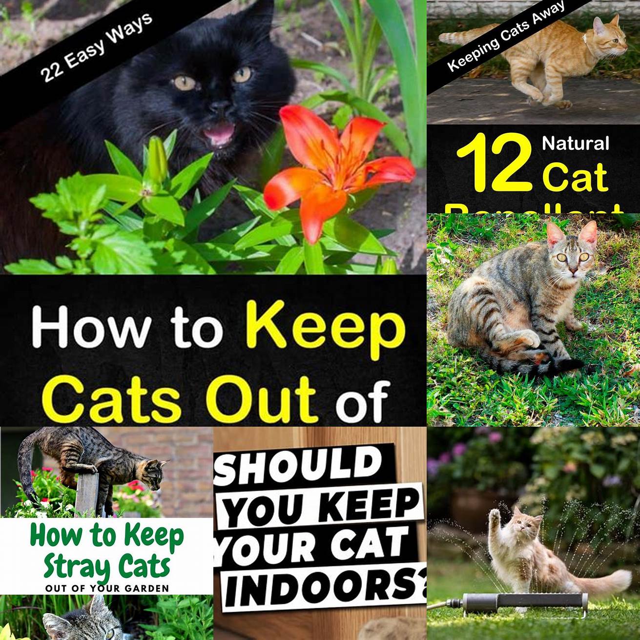 3 Keeps your cat off the ground