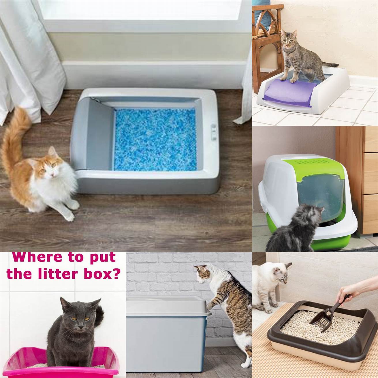 3 Place the litter box in a quiet and accessible location