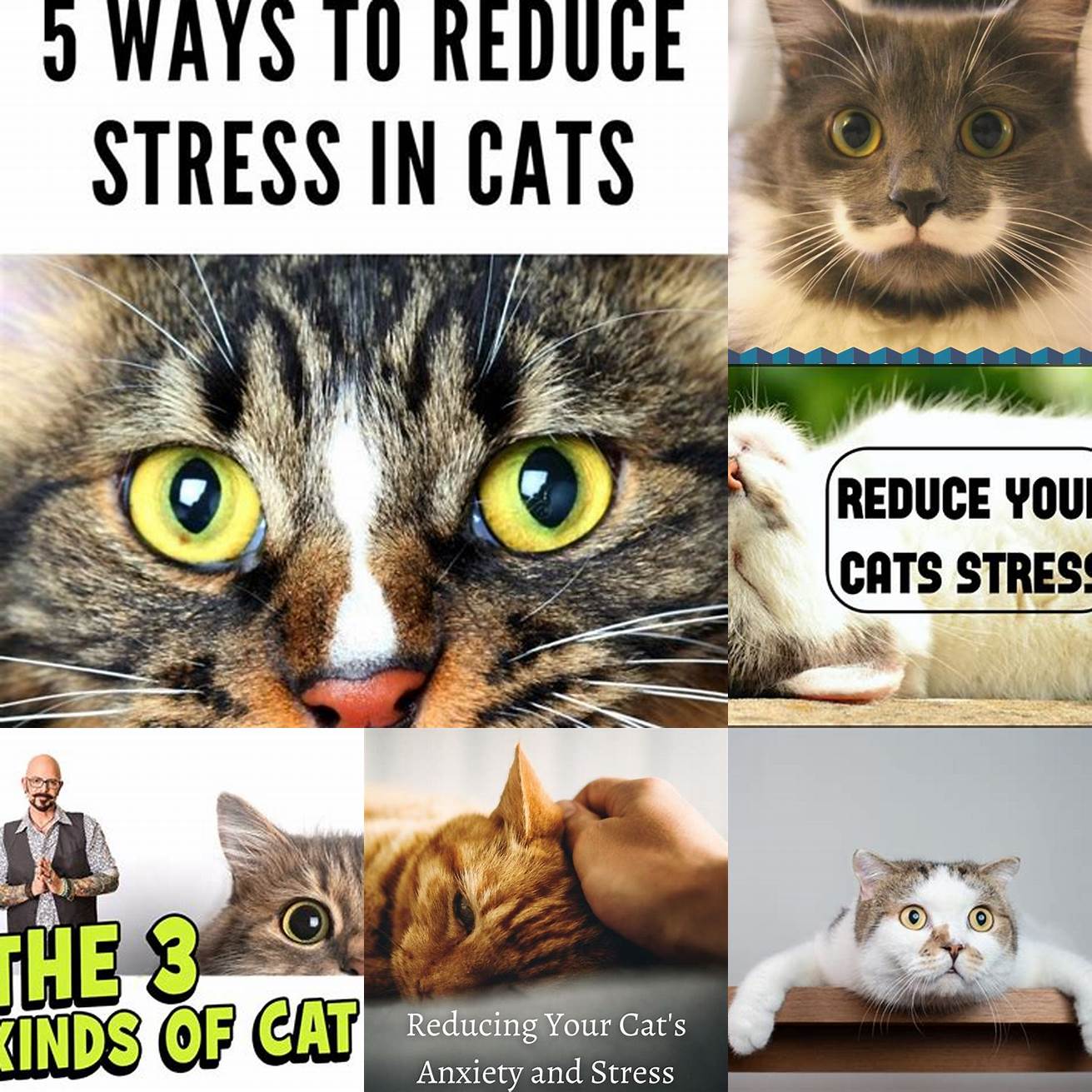 3 Reduce Stress
