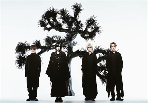 3 on a tree band