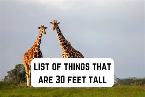 30 ft tall