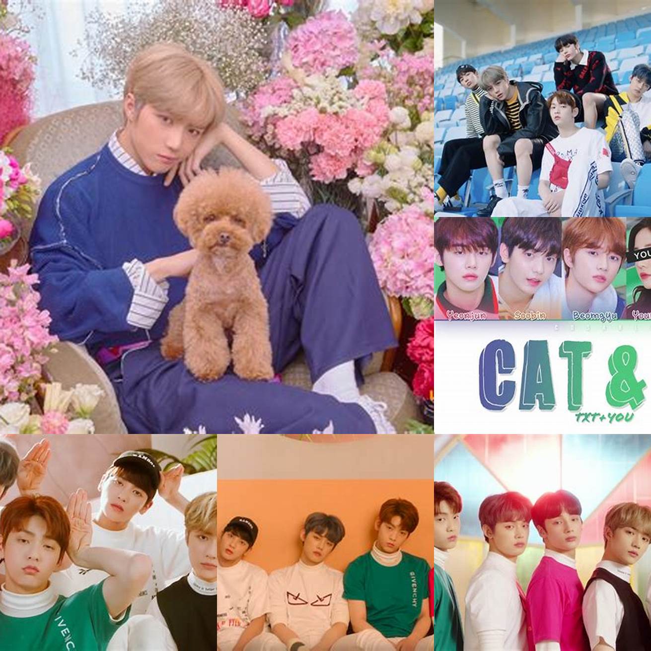 4 A photo of the TXT members with their pets