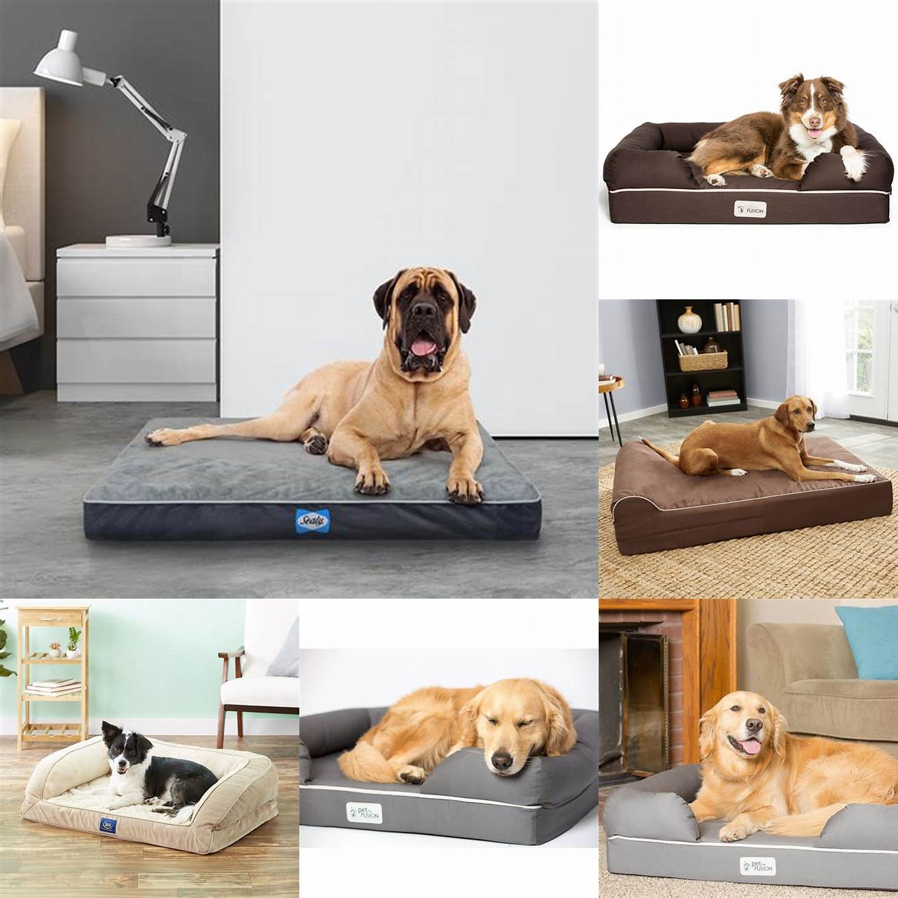 4 Best for Support The PetFusion Orthopedic Dog Bed