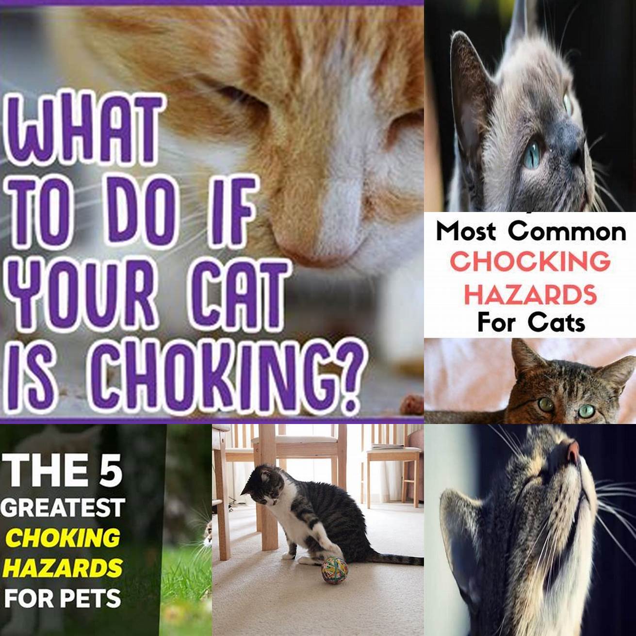 4 Choking Hazards