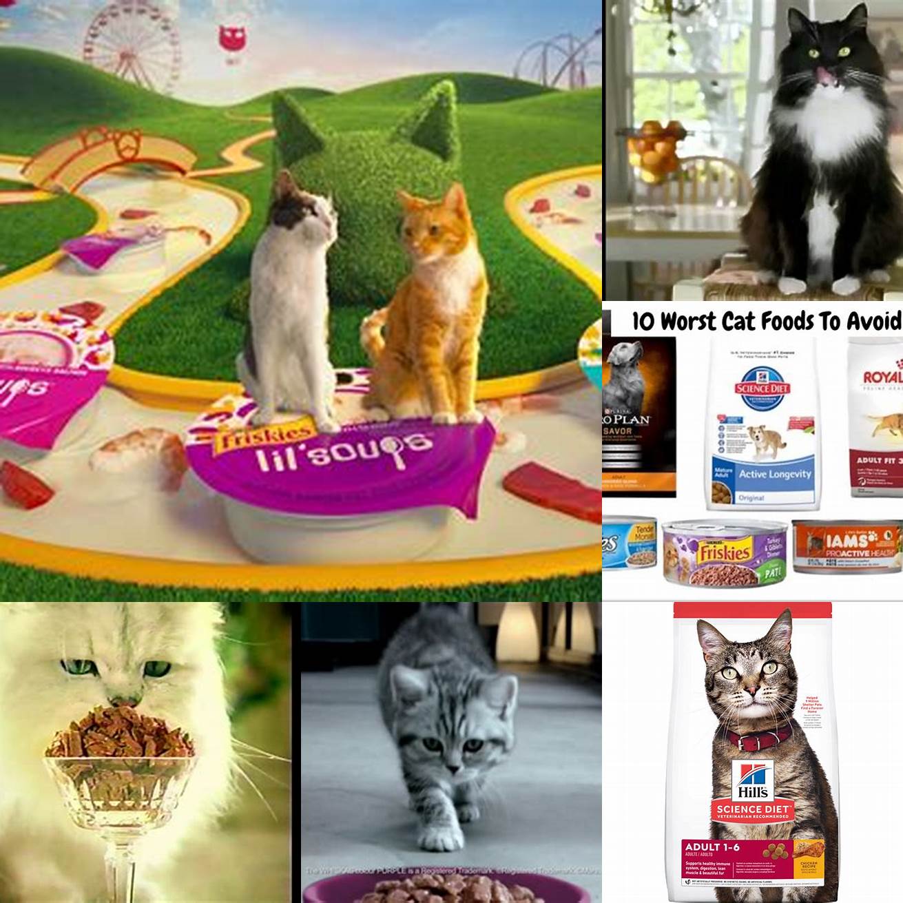 4 Commercial Cat Food