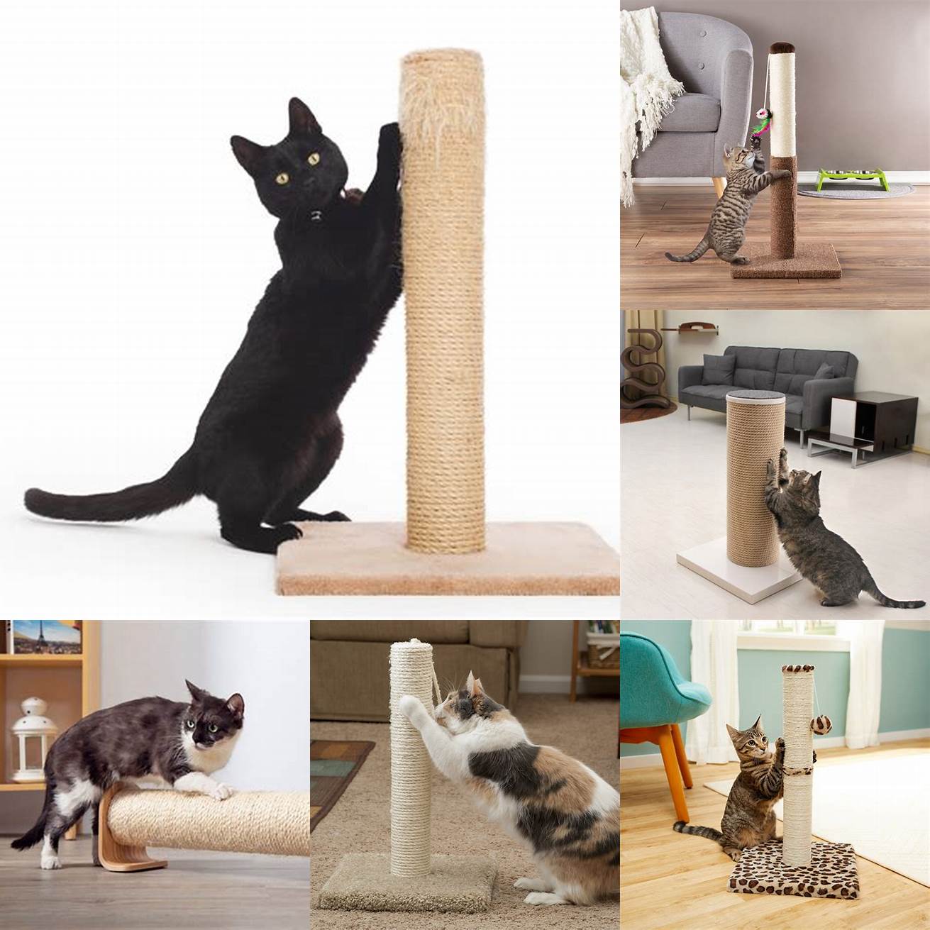 4 Consider using a scratching post
