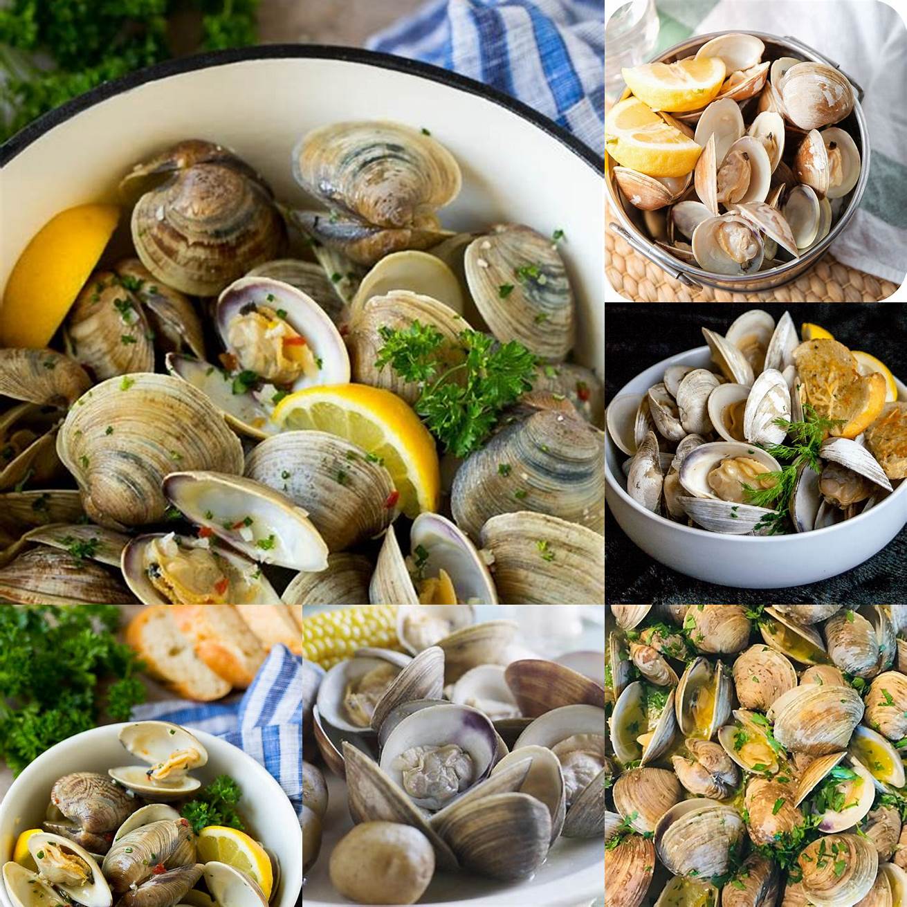 4 Fresh clams in a bowl