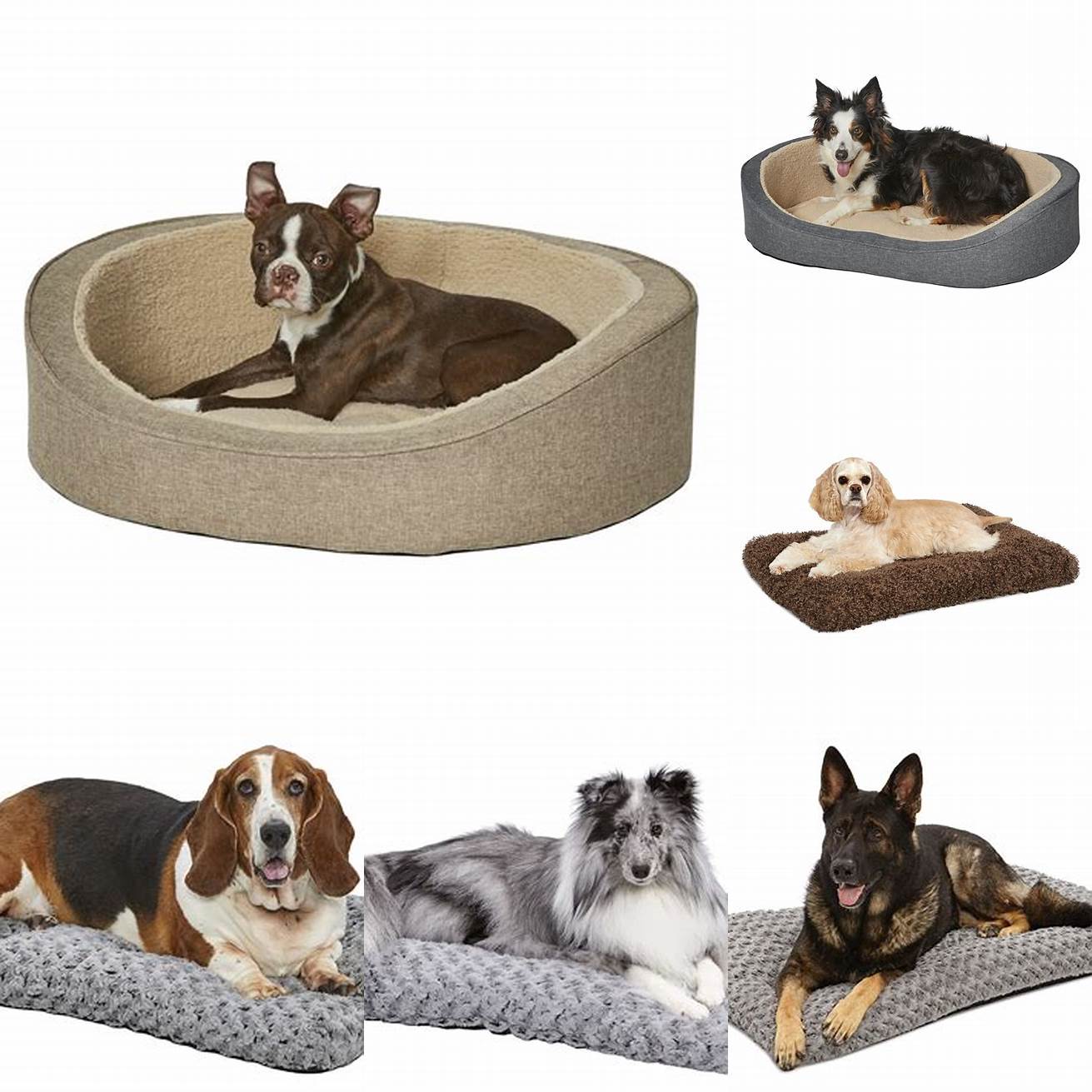 4 MidWest Homes for Pets Deluxe Pet Beds