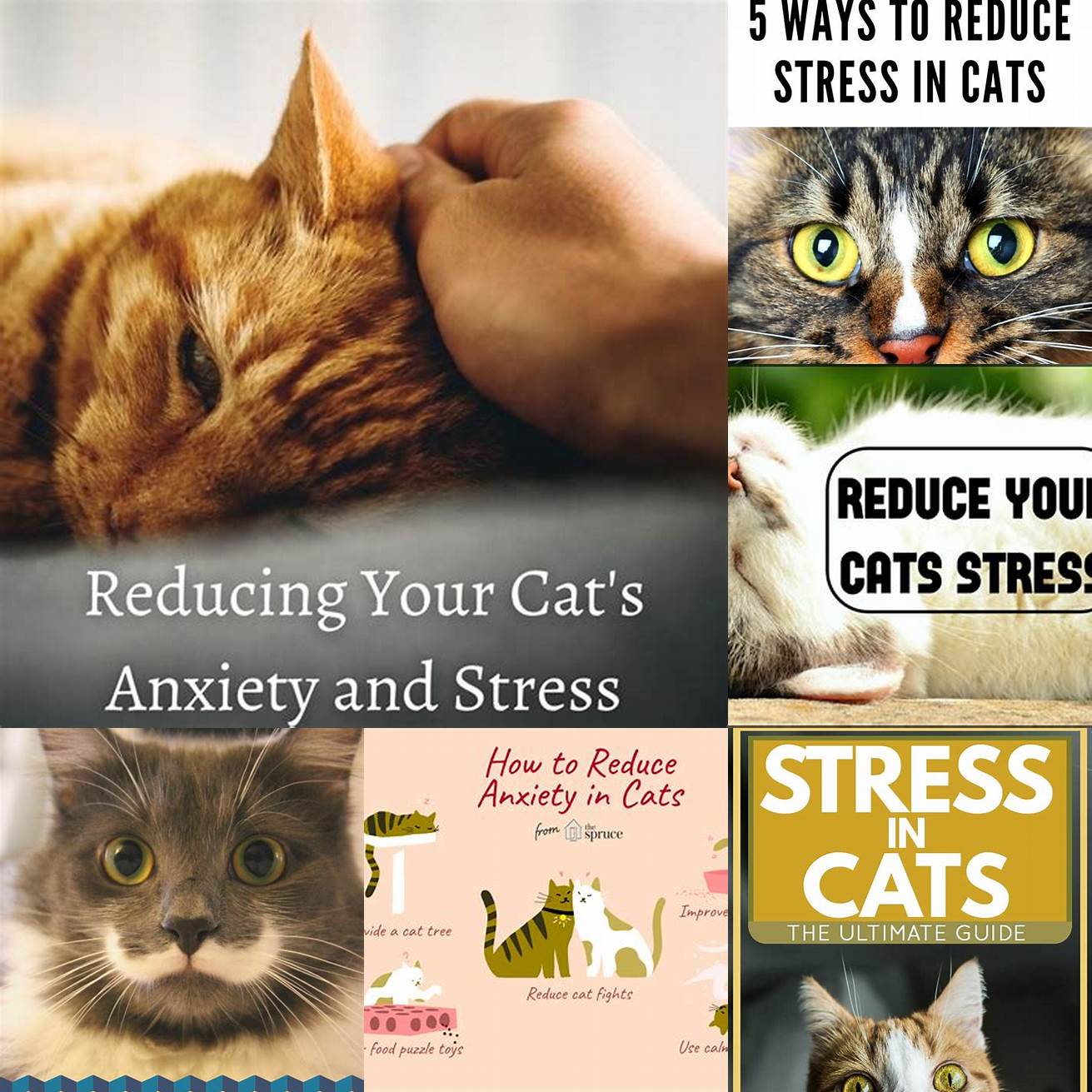4 Reduce Stressors