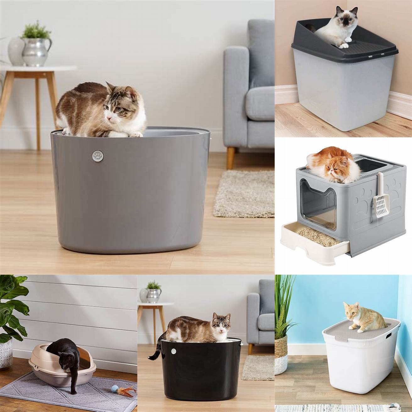 4 Top-Entry Litter Boxes