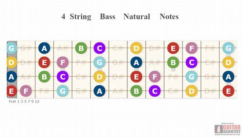 4 String Bass Note Chart