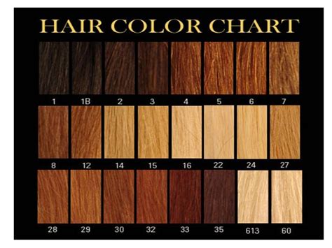 4 Hair Color Coloring Wallpapers Download Free Images Wallpaper [coloring365.blogspot.com]