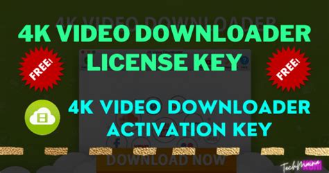 License Key Free Online