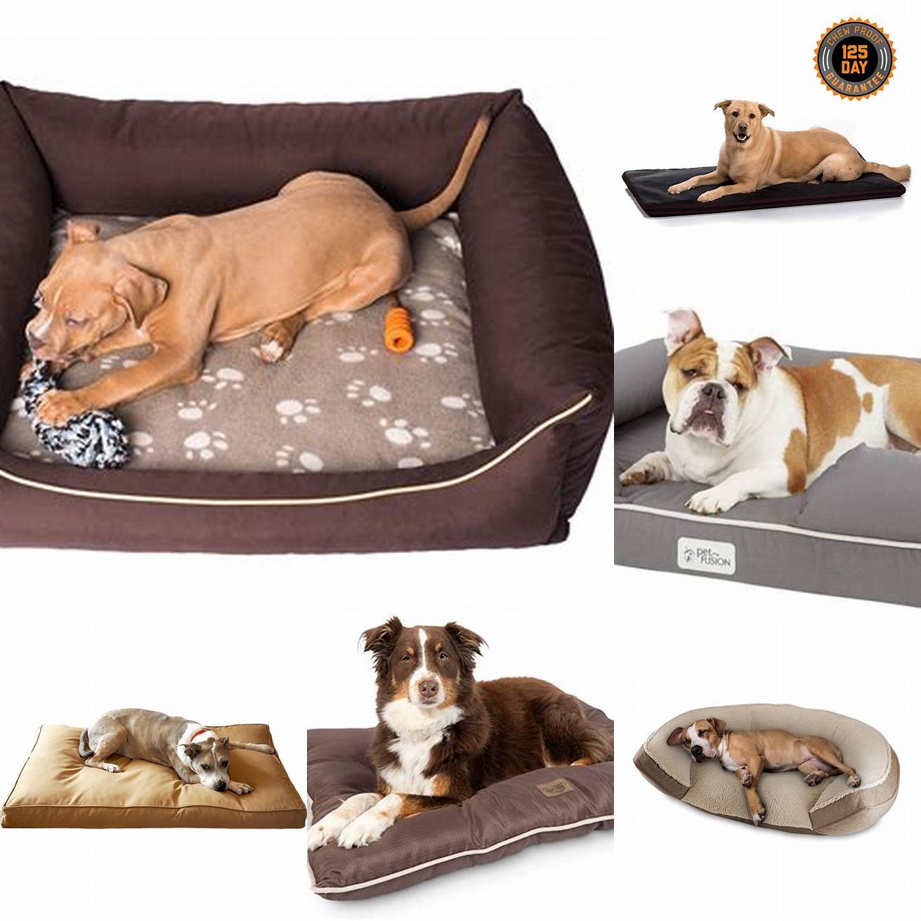 5 Best for Durability The KONG Chew-Resistant Dog Bed