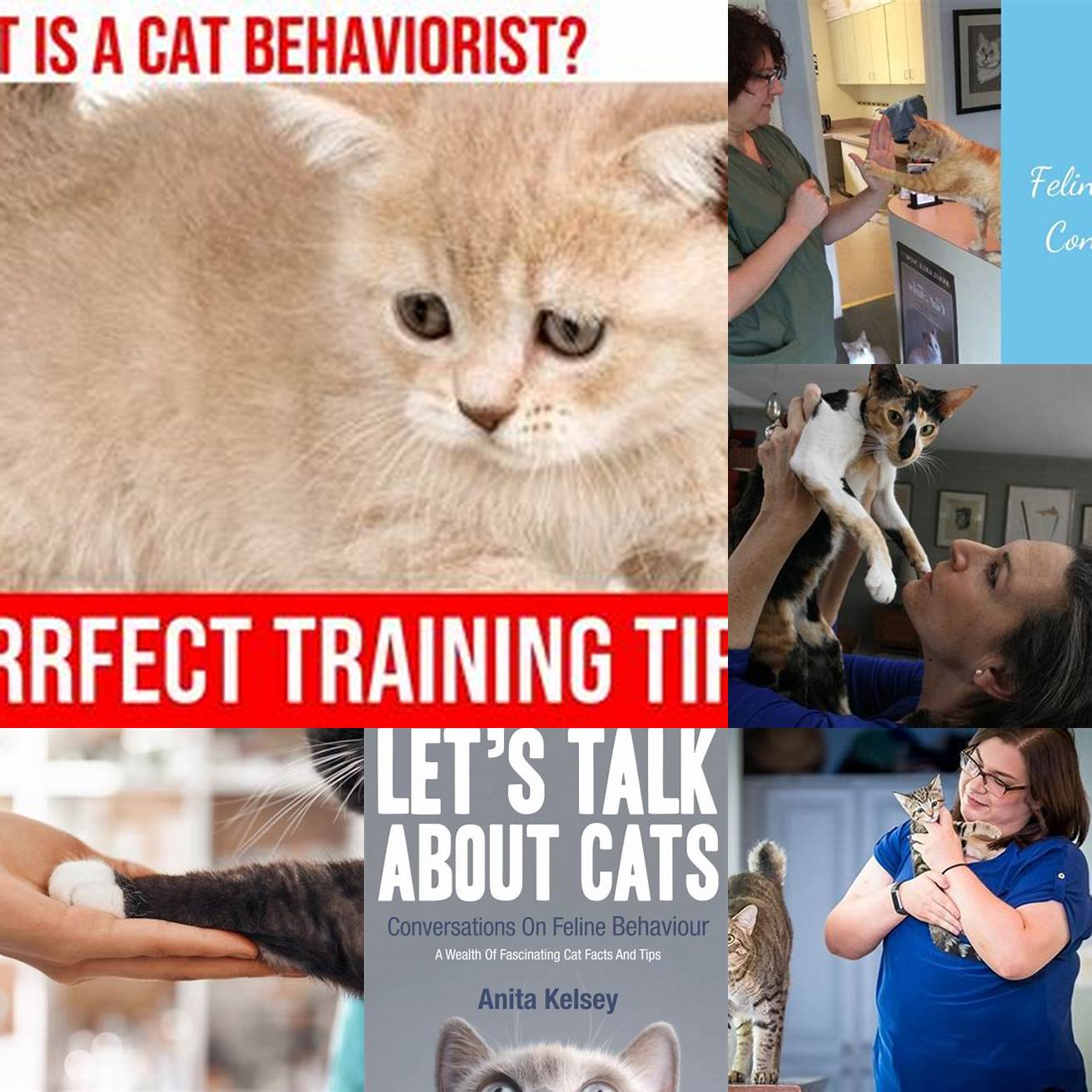 5 Consult with a Behaviorist