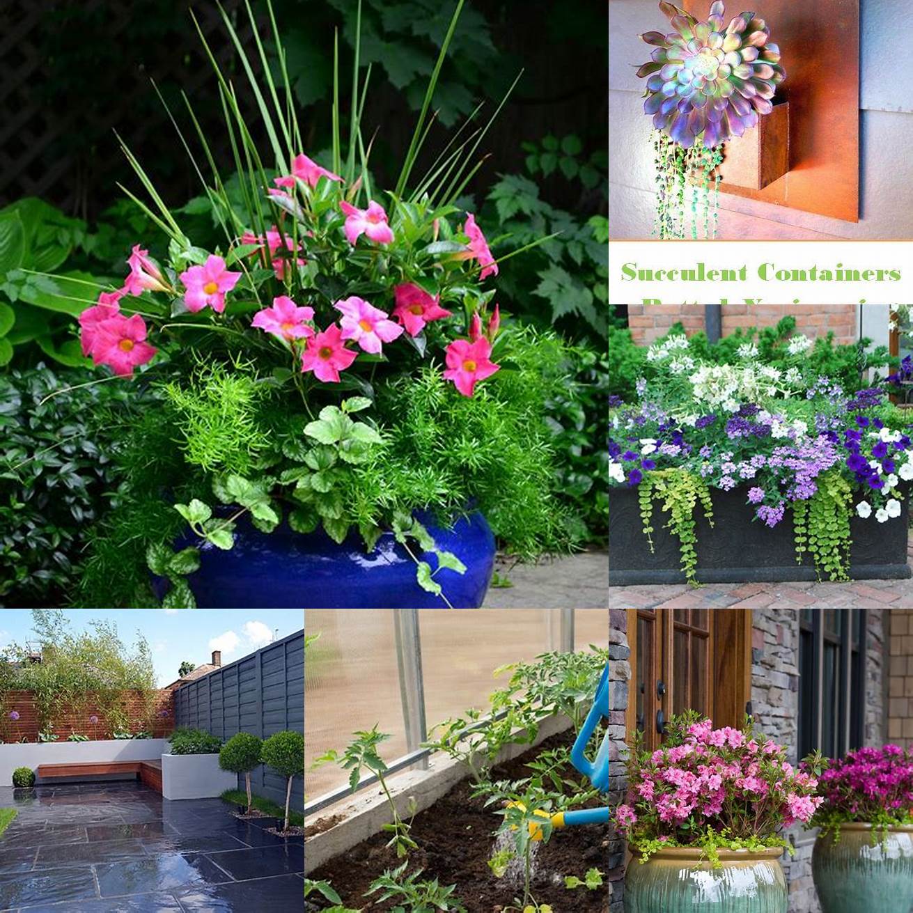 5 Maintenance Some containers require more maintenance than others so make sure to choose one that fits your lifestyle and gardening abilities