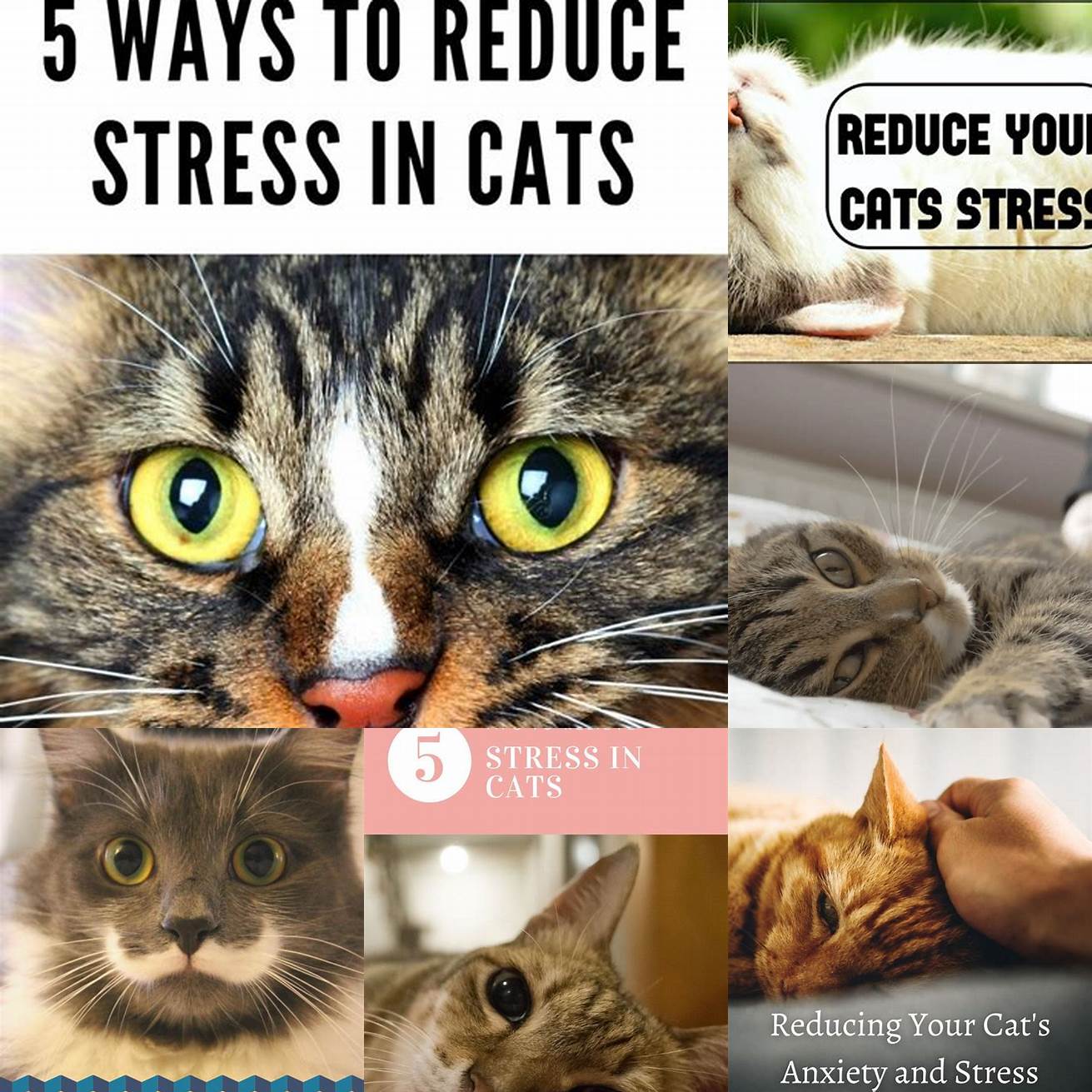 5 Reduce Stress