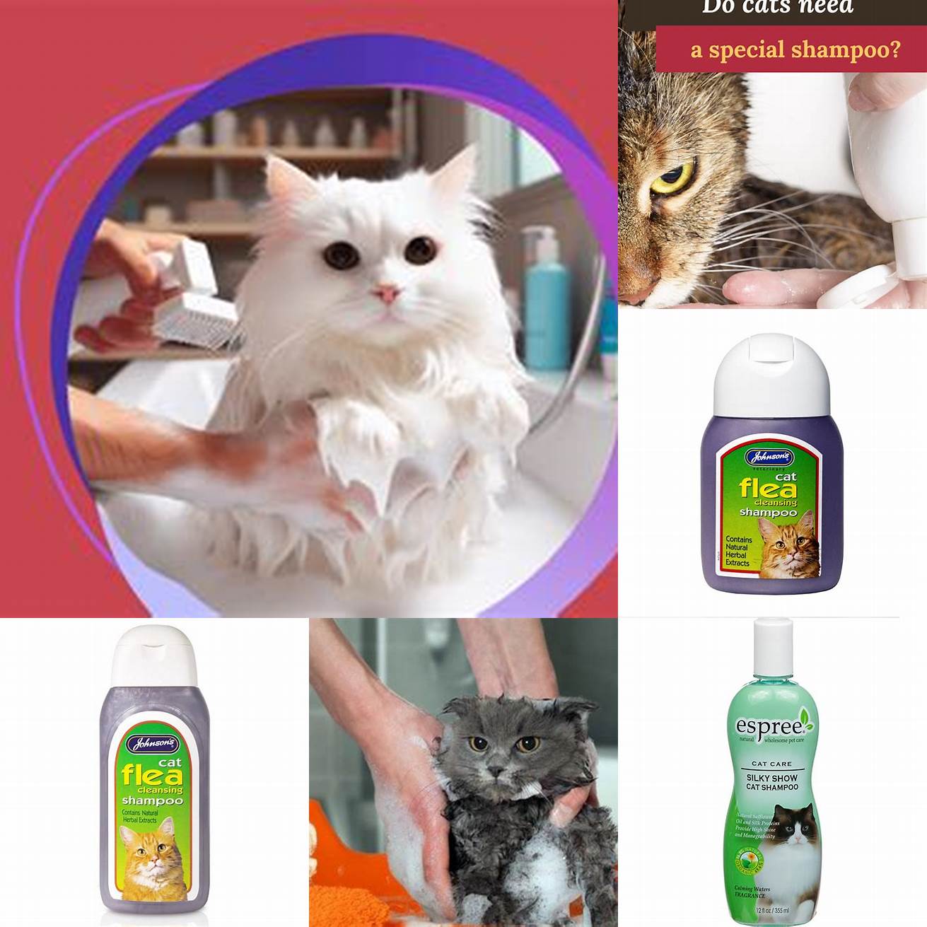 5 Use a cat-specific shampoo