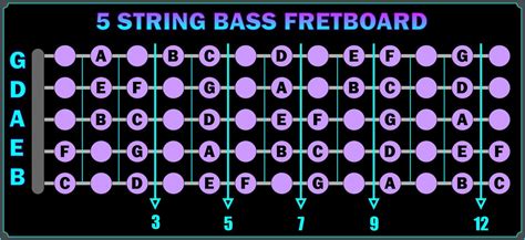 5 String Bass Fretboard Chart