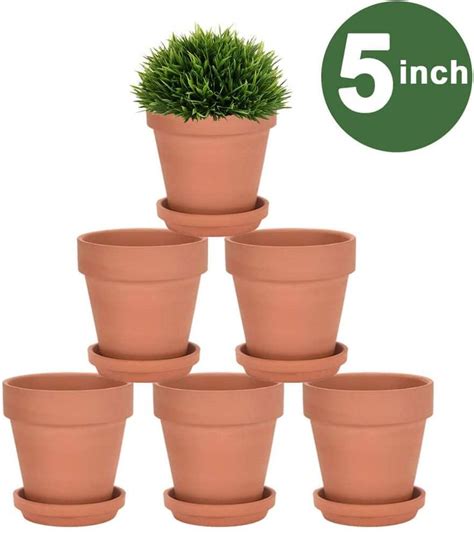 5 inch pots for plants