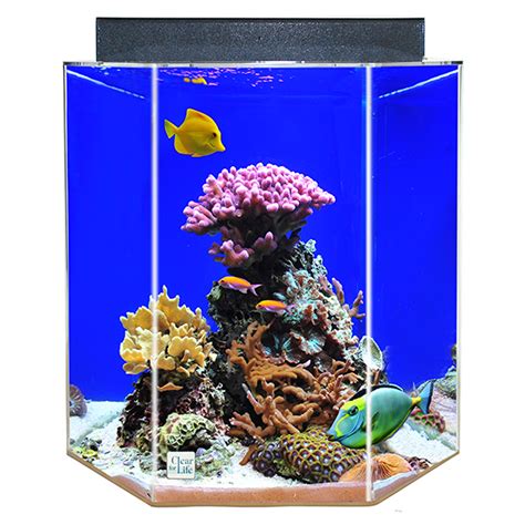 55 gallon fish tank water parameters