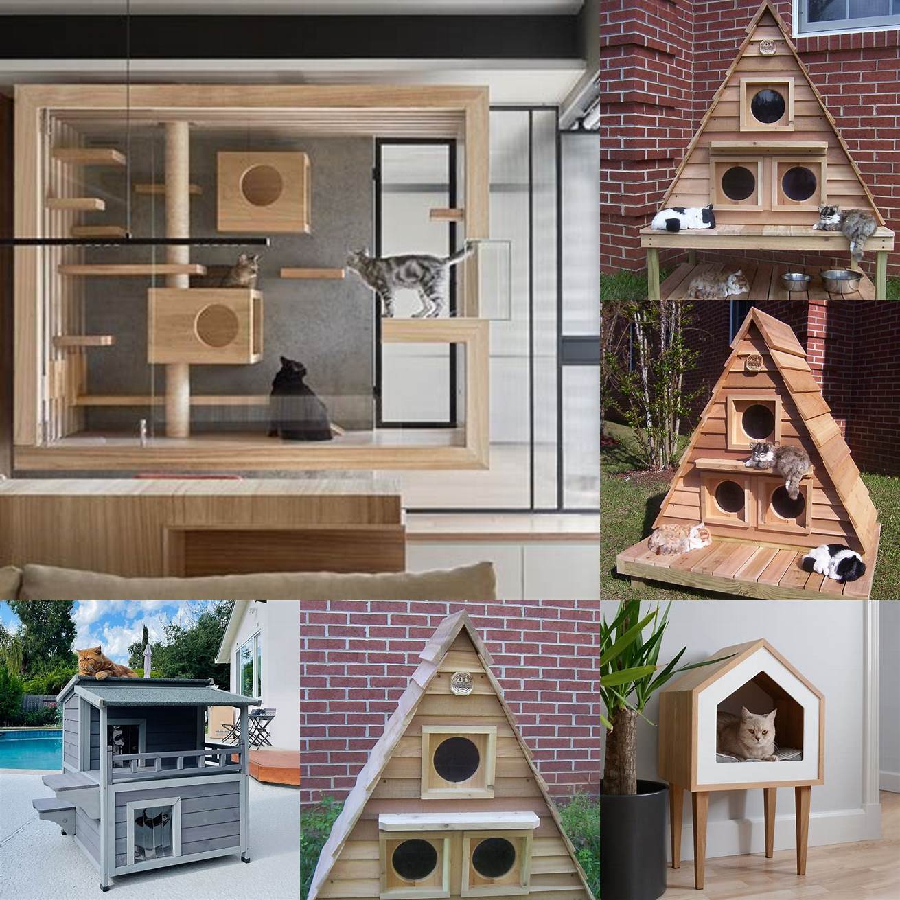 6 Designer Cat Houses