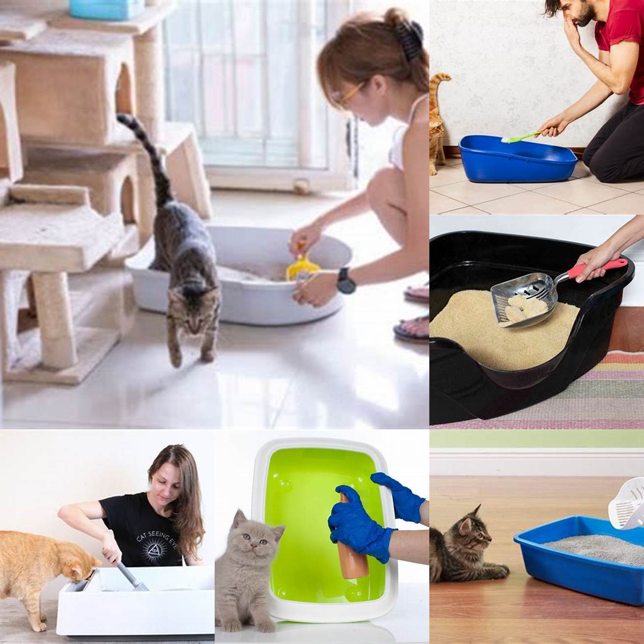 6 Person wearing gloves while cleaning the litter box