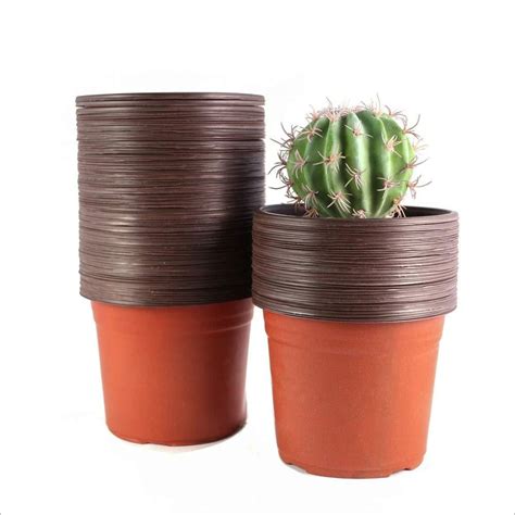 6 inch plant pot