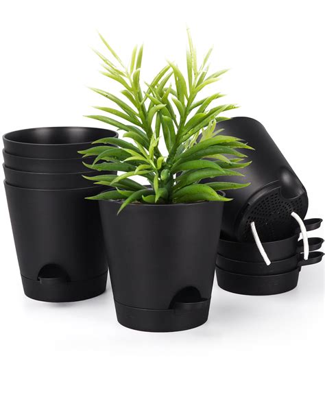 6 inch plant pot