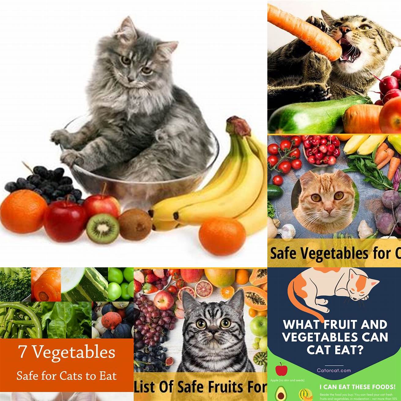 7 What are some other fruits and vegetables that are safe for cats