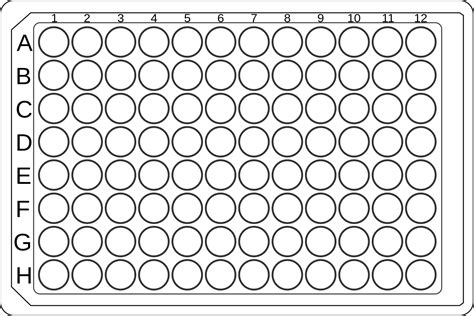 96 Plate Well Template