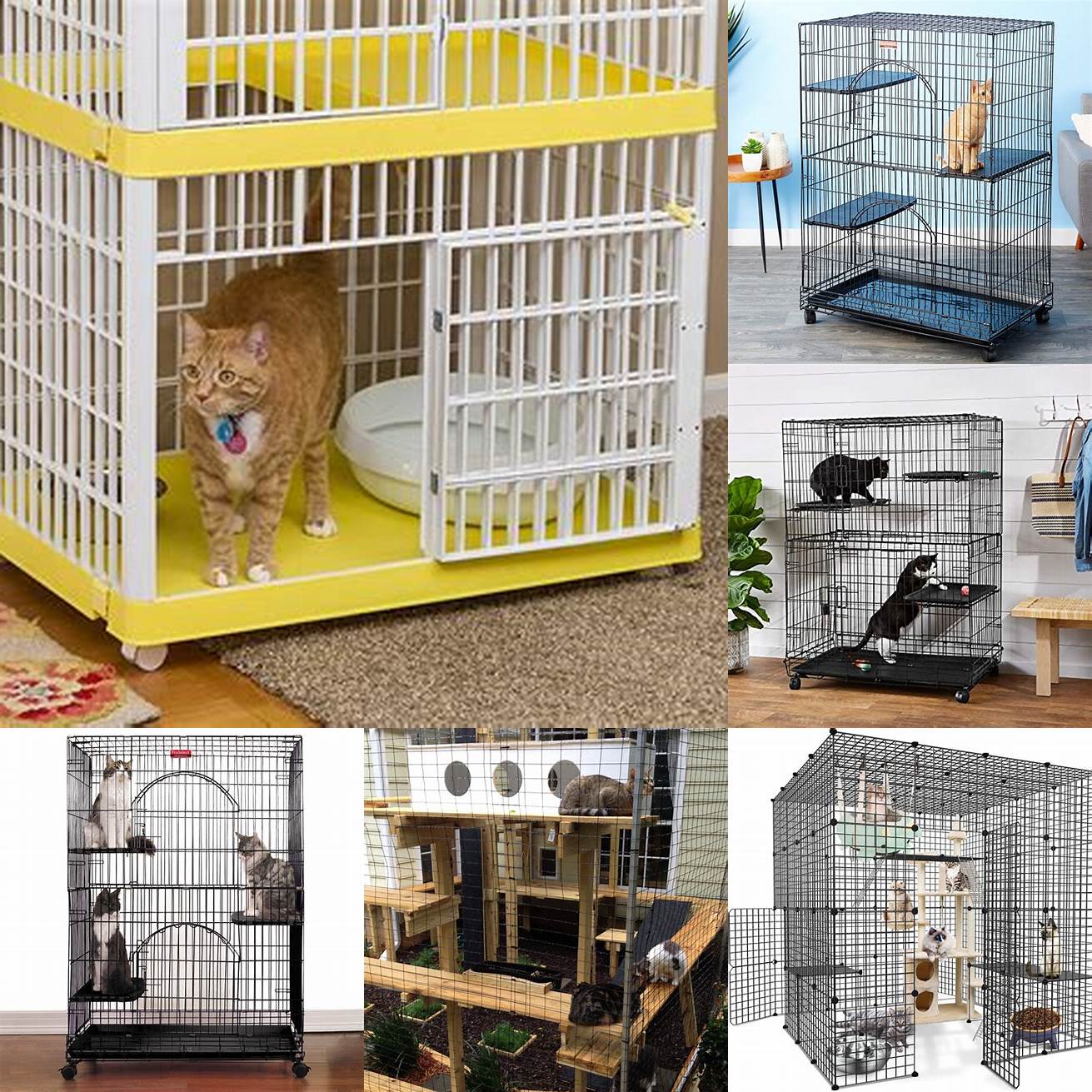 A Cat Cage with Multiple Levels