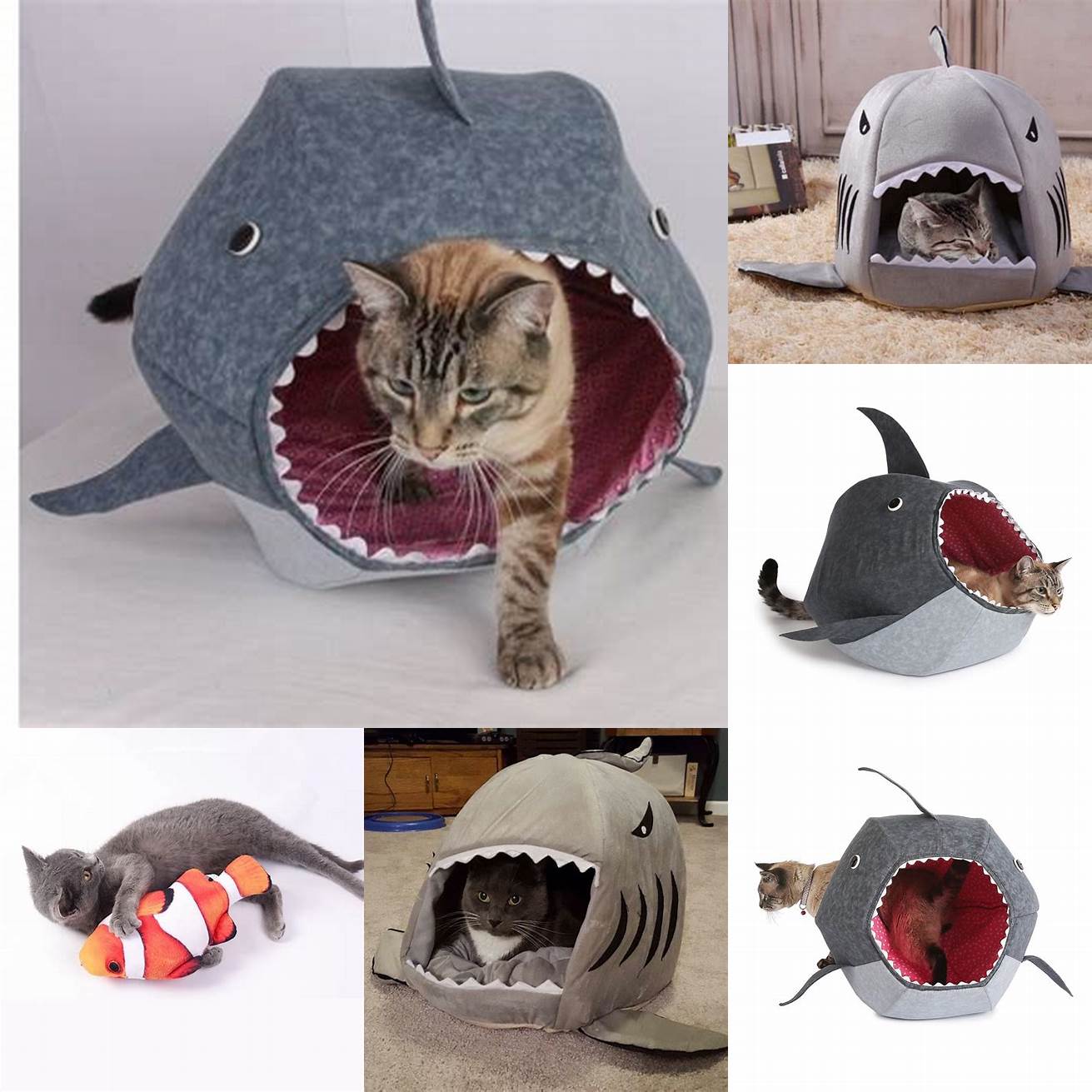 A Siamese cat with a toy fish inside a shark bed