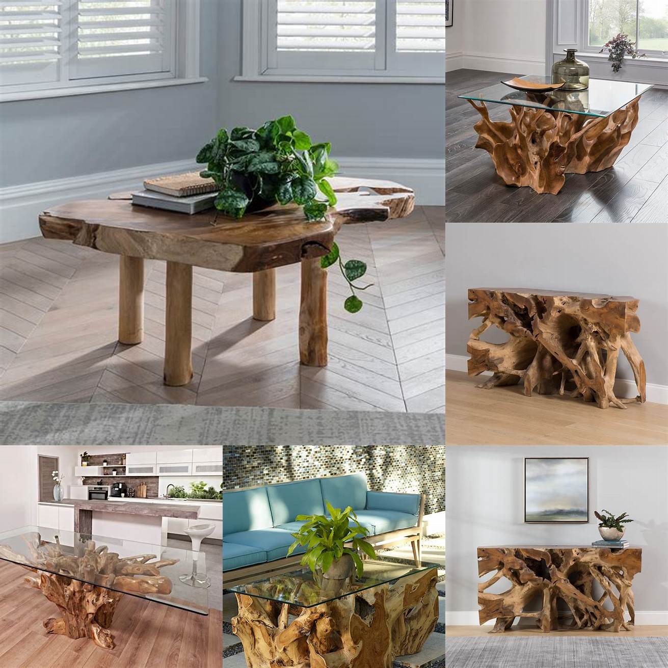 A Teak Root Table in a Living Room