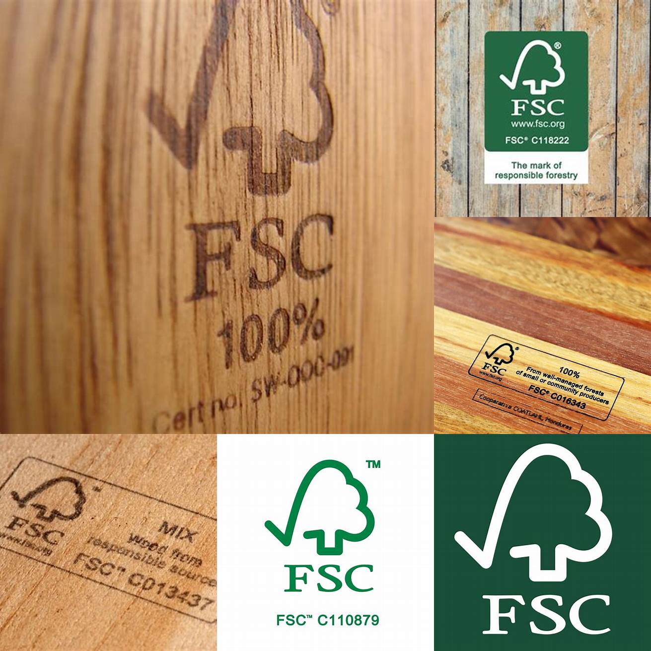 A close-up of the FSC certification logo