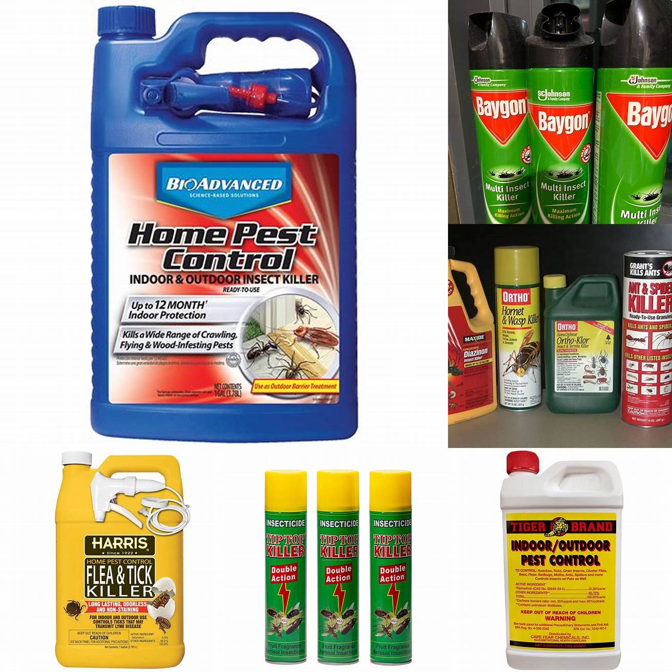 A picture of insecticides