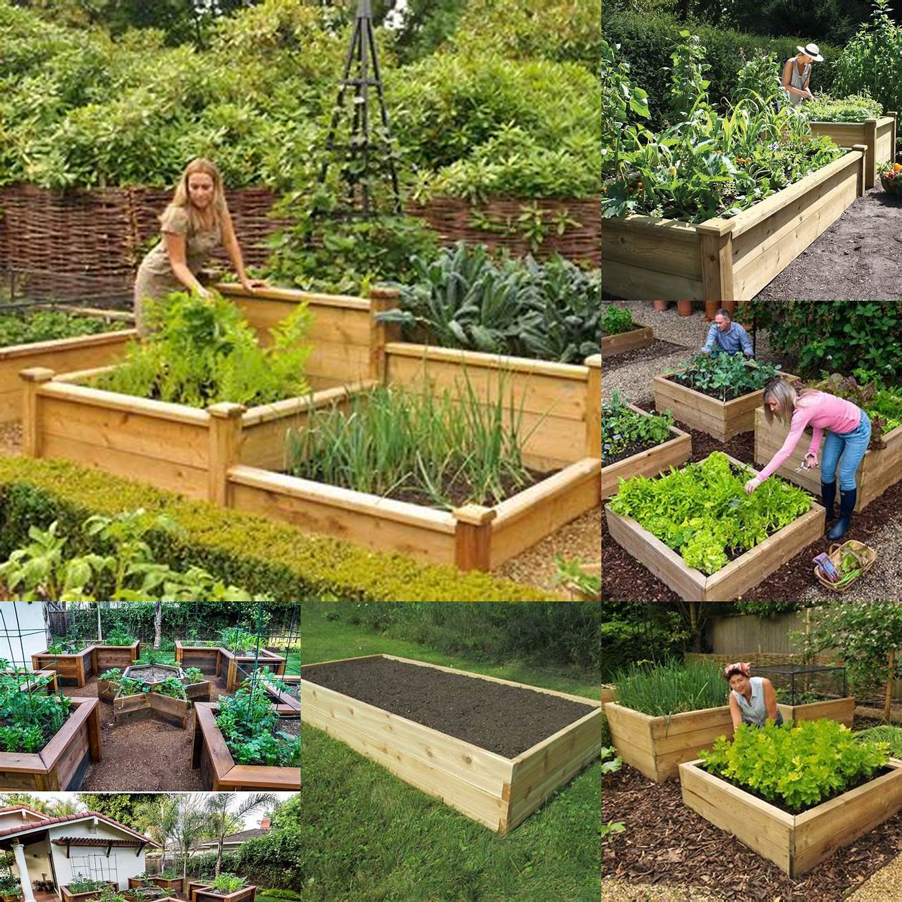 A rustic kitchen garden with raised beds and a wooden bench