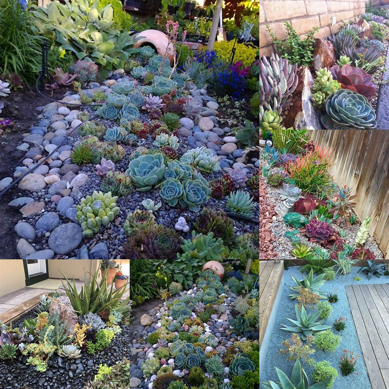 A succulent flower bed is a low-maintenance option that still looks beautiful