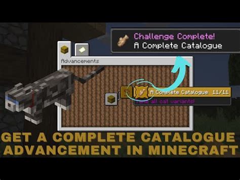 A Complete Catalogue Minecraft